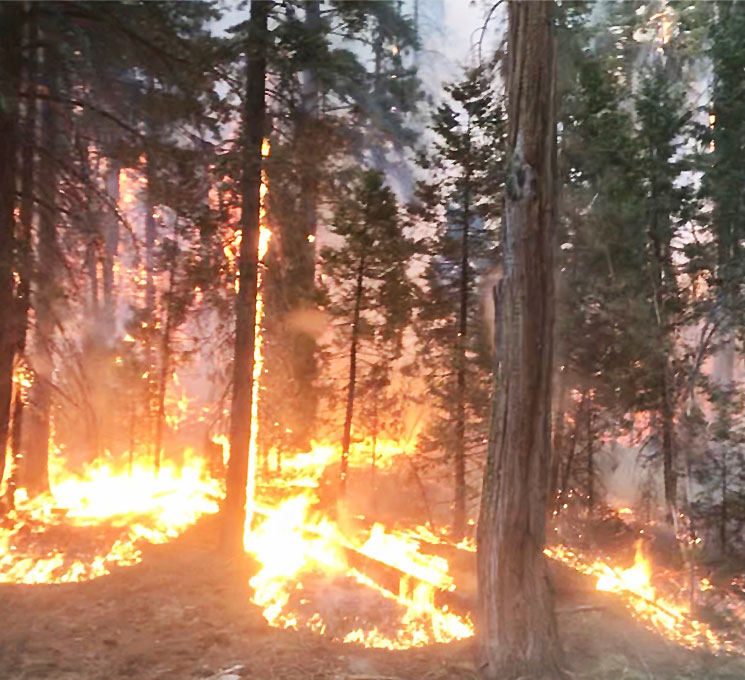 Creek Fire